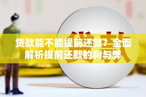 南沙贷款能不能提前还款？全面解析提前还款的利与弊