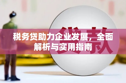 南沙税务贷助力企业发展，全面解析与实用指南