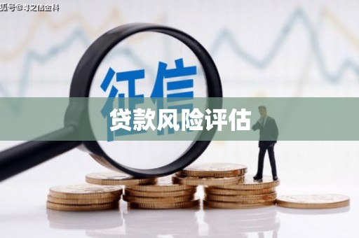 南沙贷款风险评估