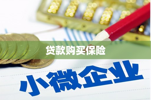 南沙贷款购买保险