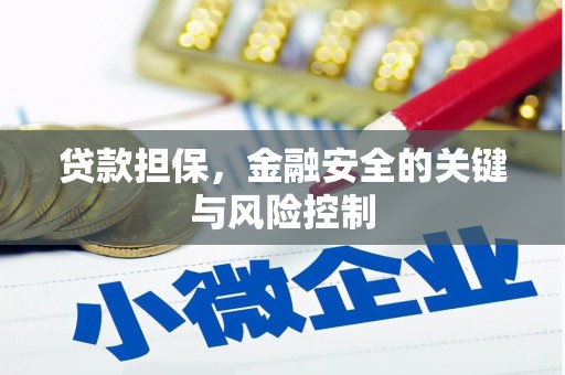 南沙贷款担保，金融安全的关键与风险控制
