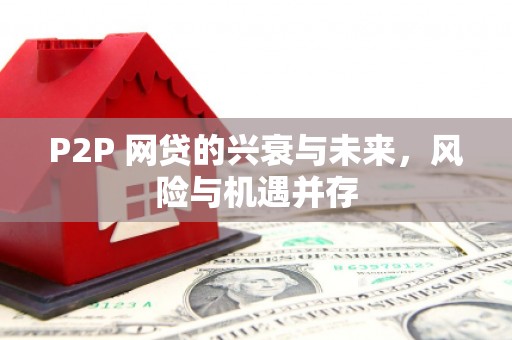 南沙P2P 网贷的兴衰与未来，风险与机遇并存