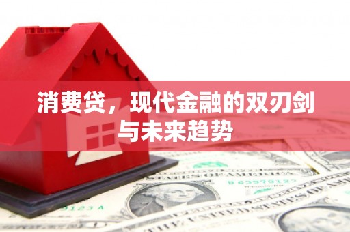 南沙消费贷，现代金融的双刃剑与未来趋势