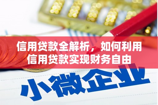南沙信用贷款全解析，如何利用信用贷款实现财务自由